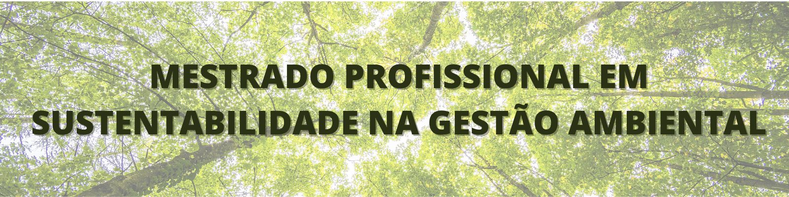 Mestrado Profissional em Sustentabilidade na Gestão Ambiental